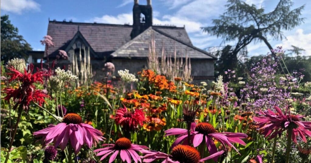 Echinacea flowers blooming in a garden full of blossoms with an old stone church in the background.