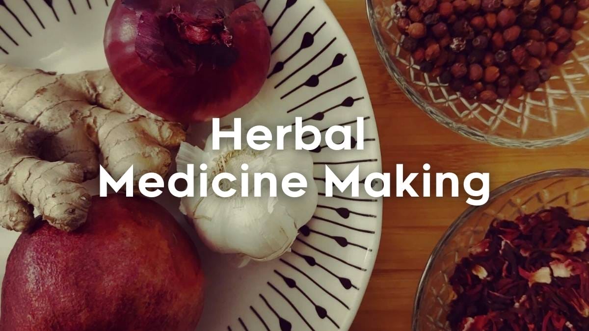 Herbs and spices on a counter