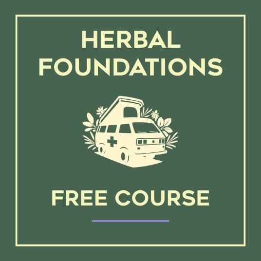 The icon reads "Herbal Foundations Free Course" on a dark green background.