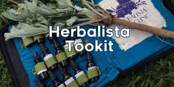 An open tincture case with a plant and the words Herbalista Toolkit 