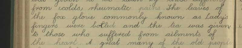 handwritten note from the duchas.ie School collection.