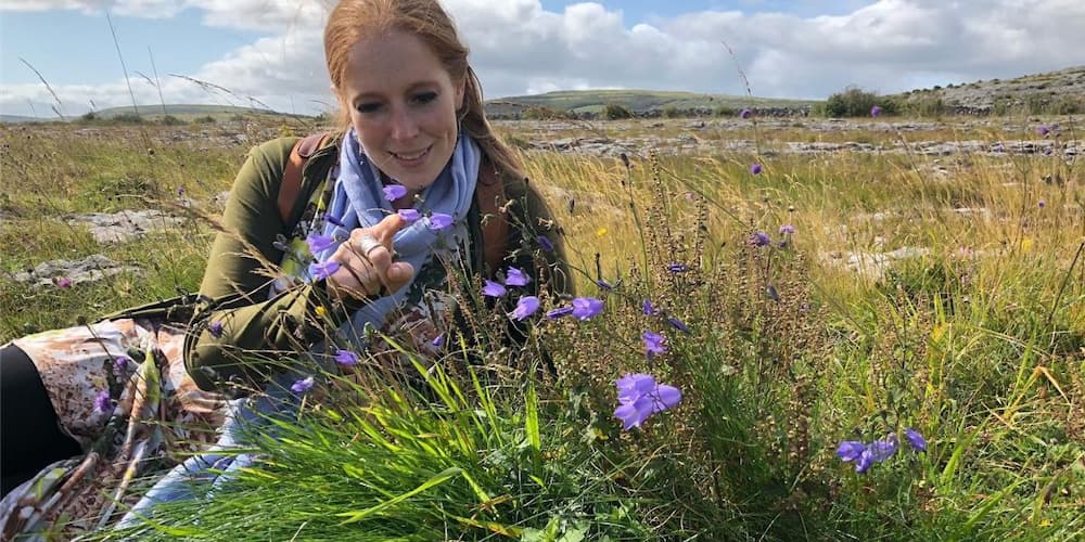 A plant lover sits with purple harebells blowing in the breeze in the middle of the Burren landscape.