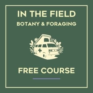 The icon reads "In the Field Botany and Foraging Free Course" on a dark green background.
